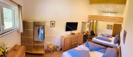 Un dormitorio con cama, televisor, armario y ventana.