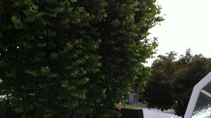 Vue depuis l’hébergement