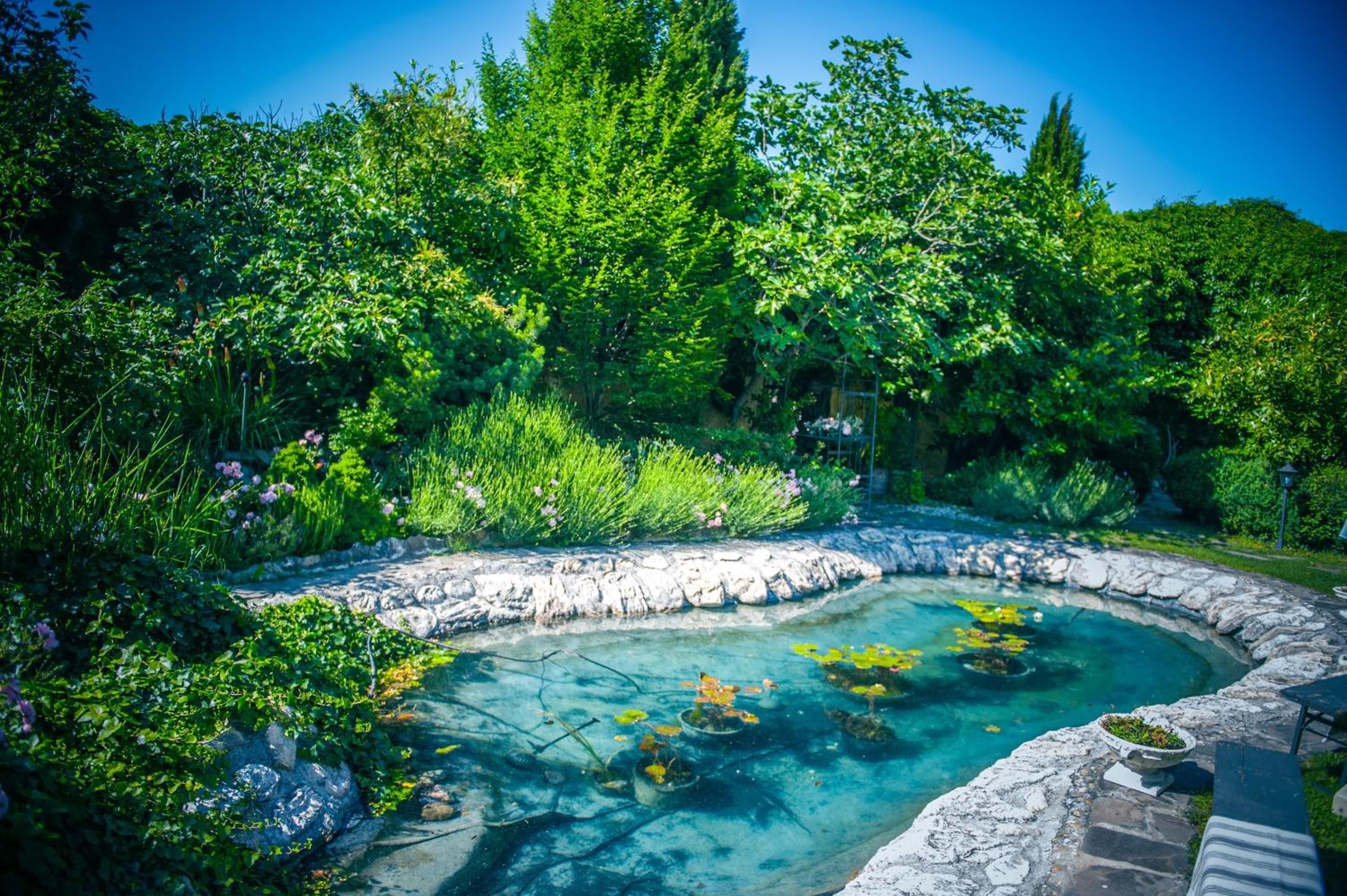 Un jardín con un estanque cristalino rodeado de abundante vegetación y detalles de piedra.