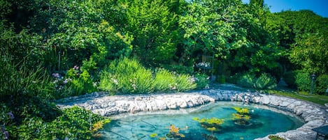 A garden with a clear water feature surrounded by lush greenery and stonework.