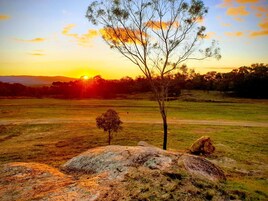 A natural landscape with a prominent rock formation, a small tree, and a distant sunset.