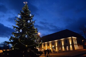 Un gran árbol de Navidad con luces frente a un edificio.