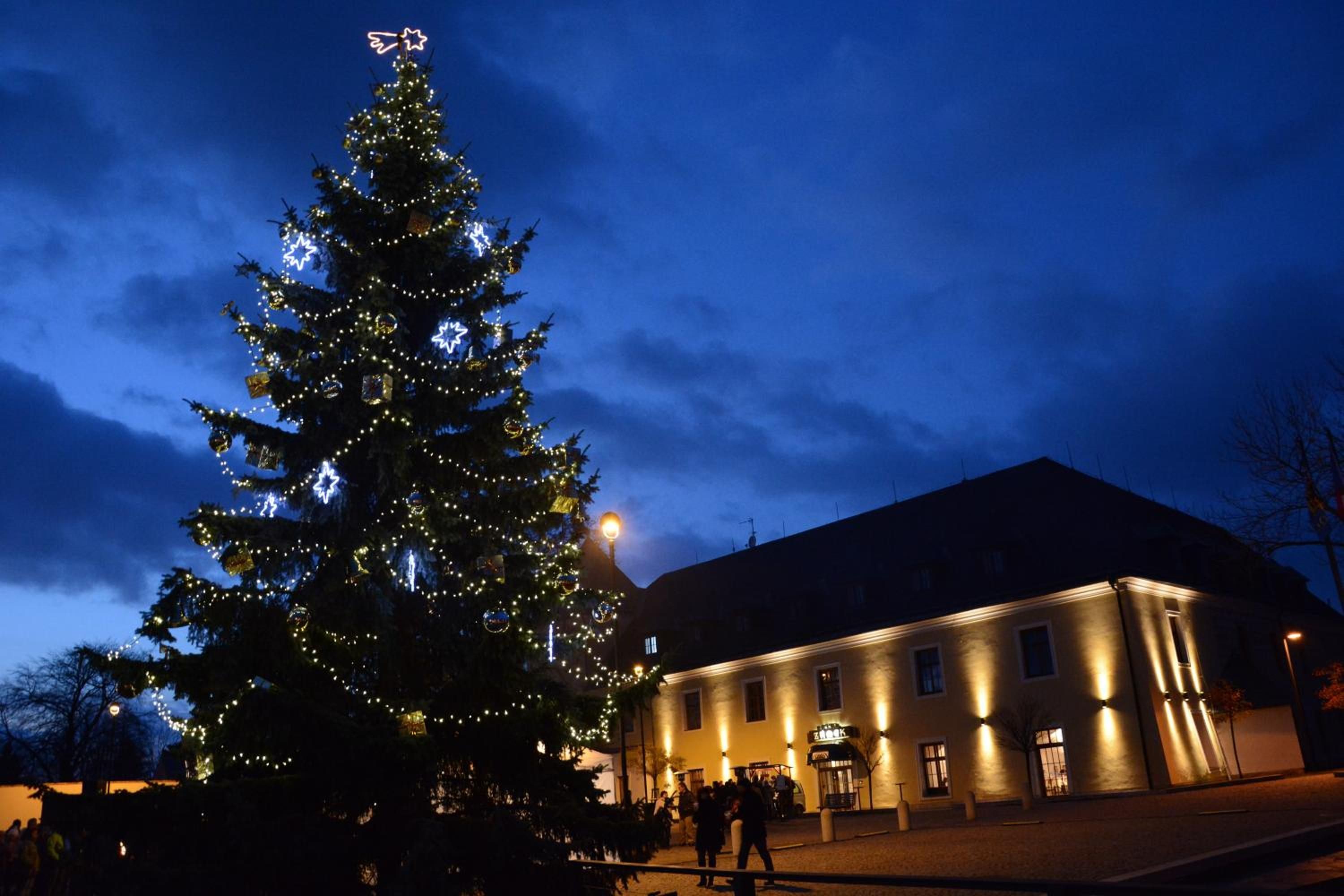 A large Christmas tree with lights in front of a building.