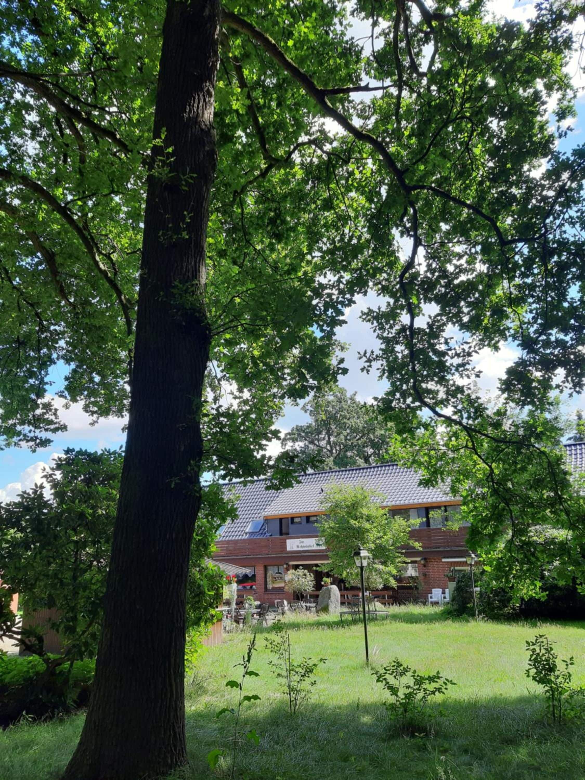 A building with a sloped roof, surrounded by trees and grass.
