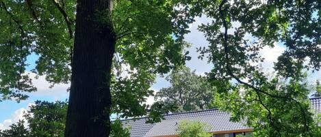 A building with a sloped roof, surrounded by trees and grass.