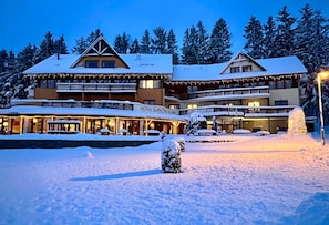 View from property - Hotel Slune Anva Louka (Lipno nad Vltavou)