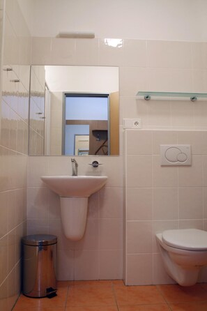 A bathroom with a white sink, a toilet, a trash bin, and a mirror.