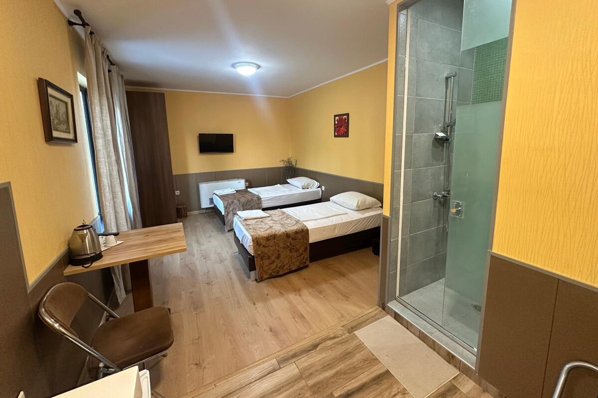 A hotel room with a bed, a desk, a chair, a shower area, and a television.