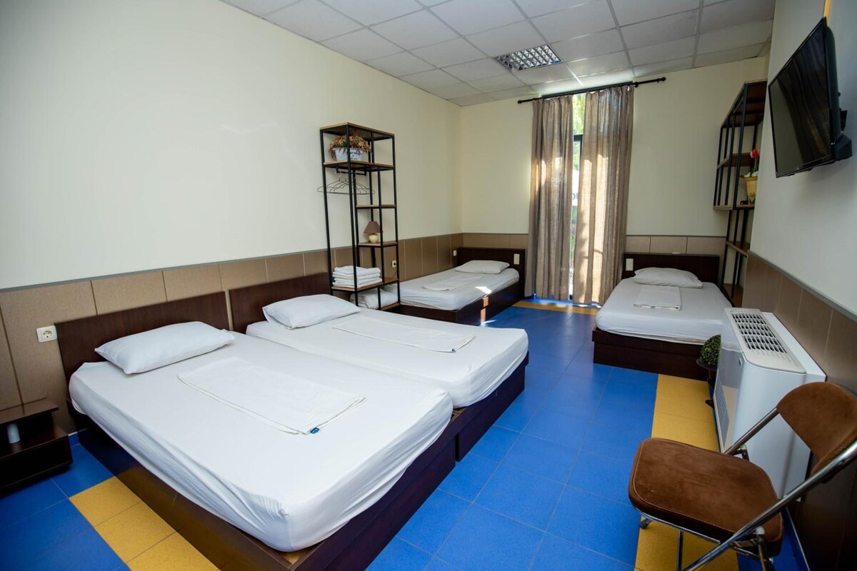 A hotel room with four single beds, a small table, a chair, a TV, and a shelf with plants.