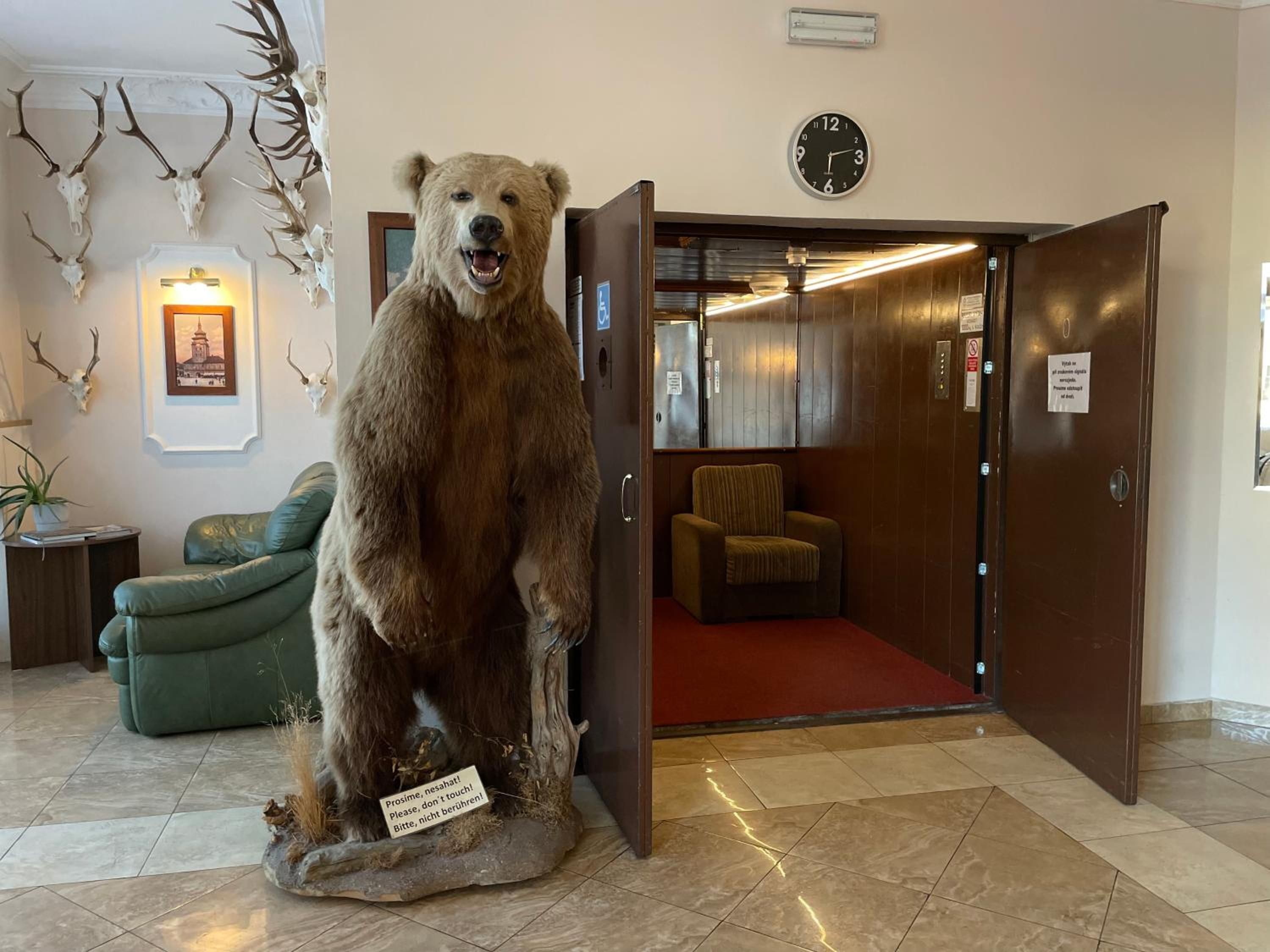 A room with a large bear statue, a clock, and a door leading to another room.