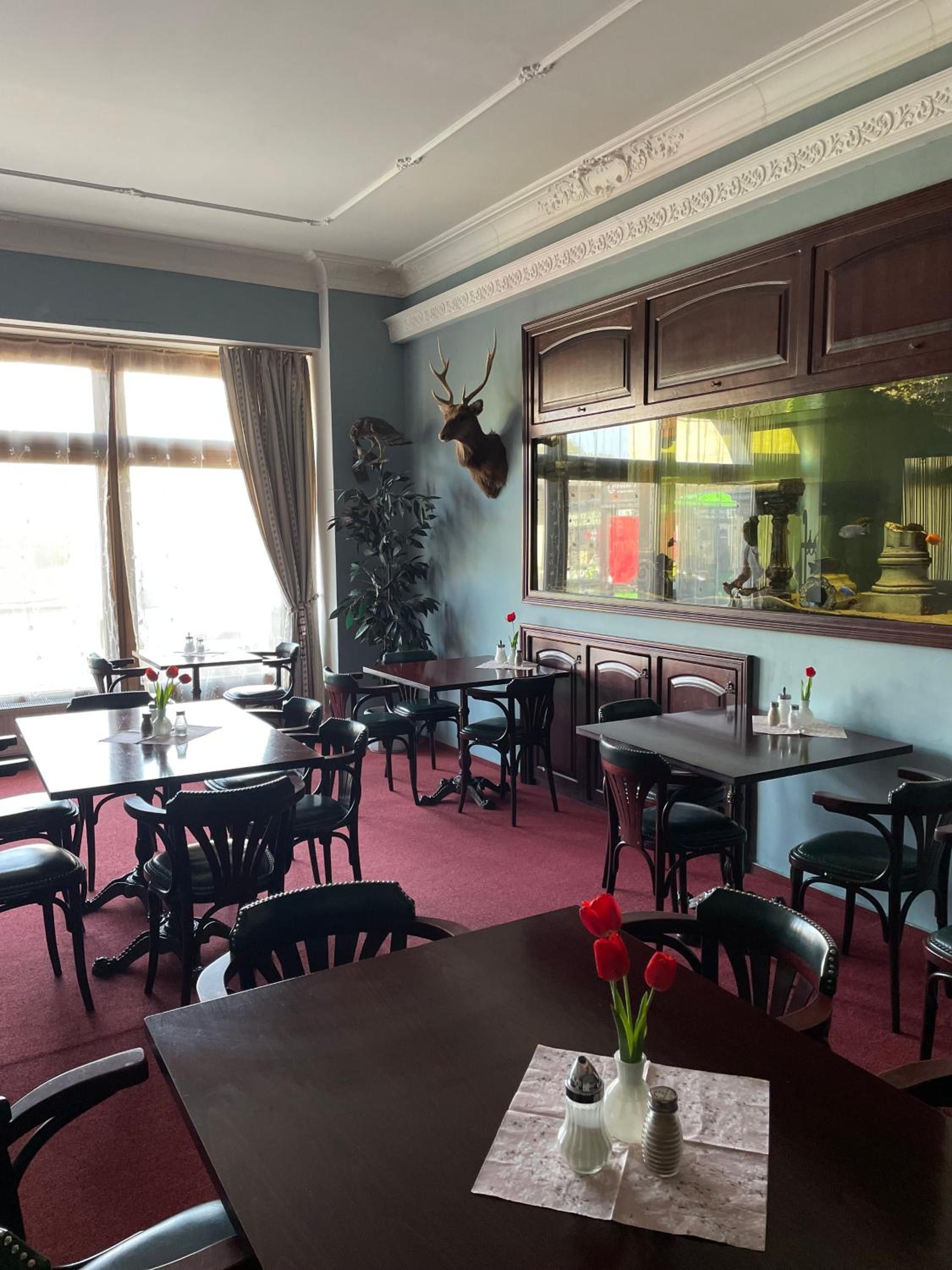 A dining area with multiple tables and chairs, a mounted deer head on the wall, and a window with curtains.