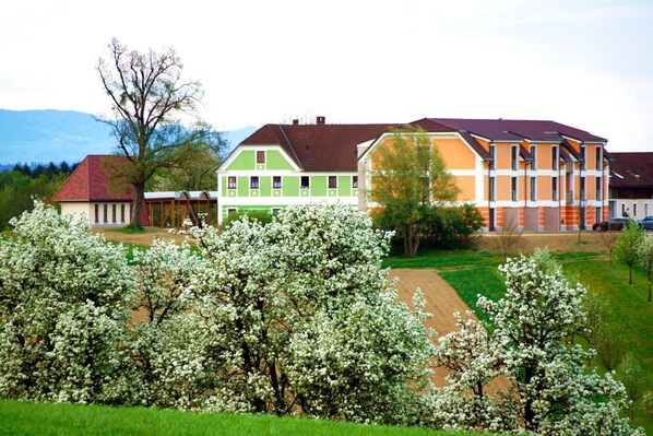 Utsikt från boendet