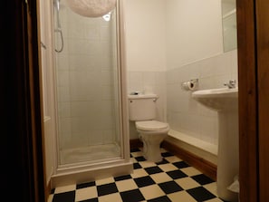 Une salle de bain avec douche, toilettes et lavabo.