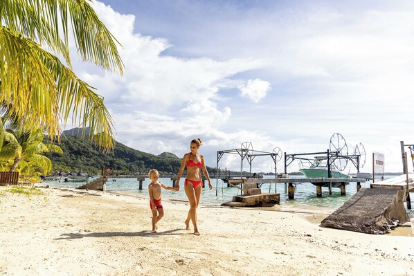 A beach with a clear sky, palm trees, and a dock with boats.
