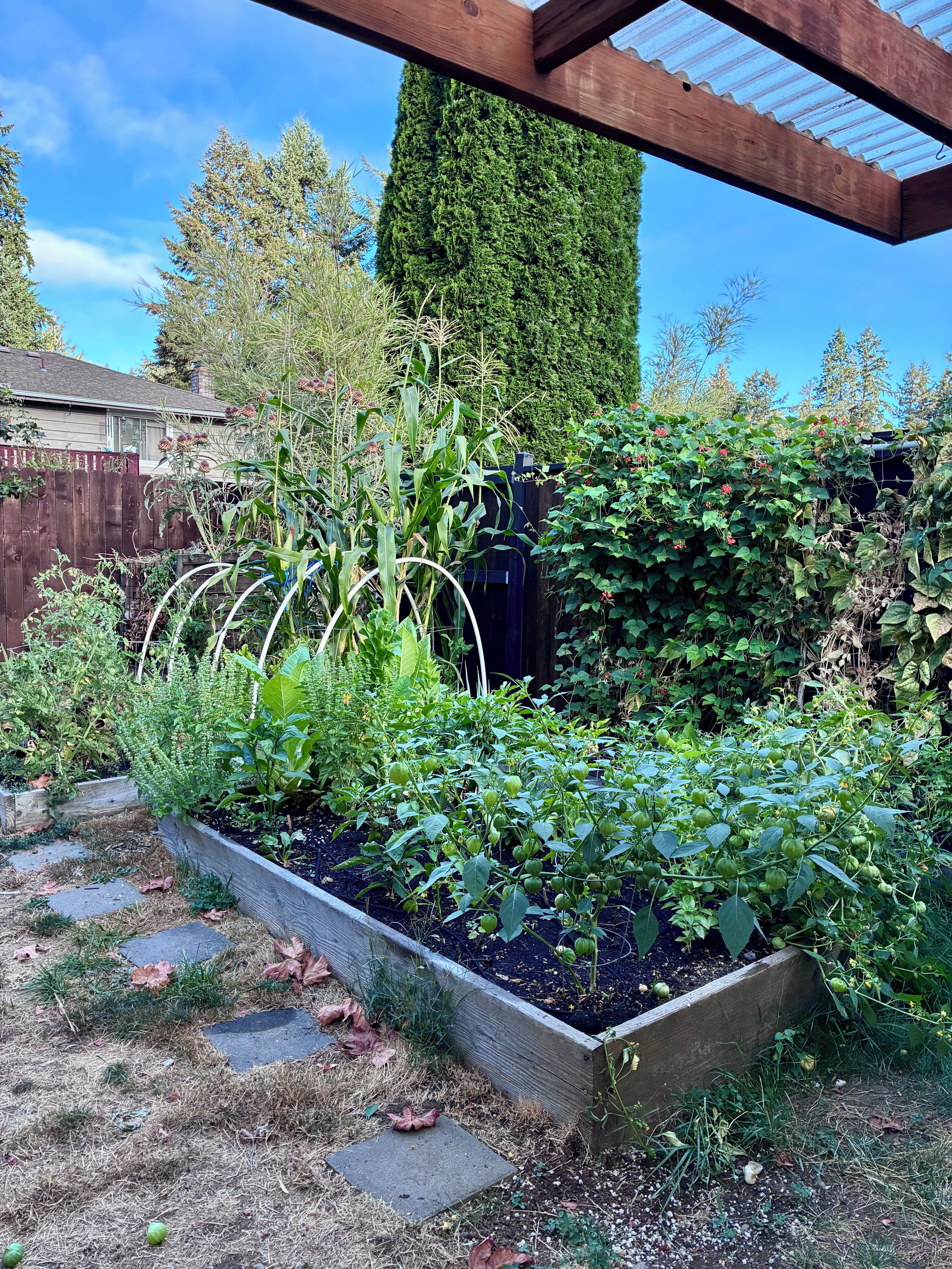 Un jardin avec des plates-bandes surélevées, une pergola en bois et une grande variété de plantes.