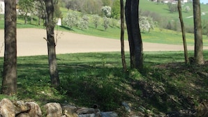 Escena tranquila al aire libre con un estanque, muro de piedra y árboles.