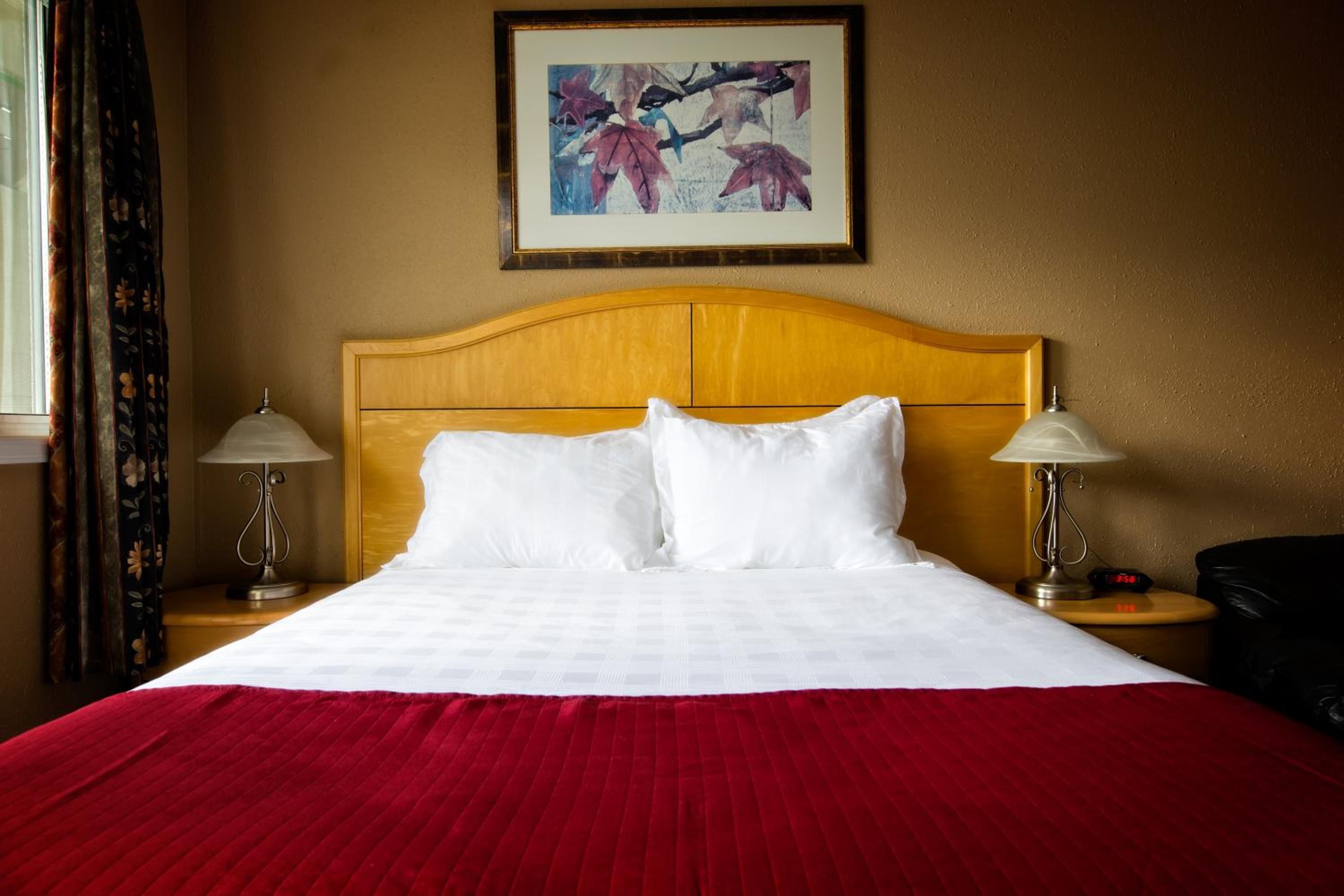 A hotel room with a wooden headboard, white bedding, two bedside lamps, and a framed artwork on the wall.