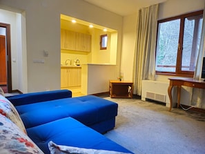 A room with a kitchenette, a window with curtains, a radiator, and a desk.