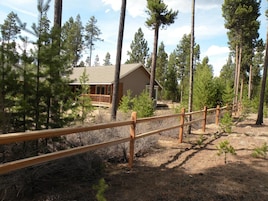 A cabin surrounded by tall pine trees, with a wooden deck leading to the entrance.