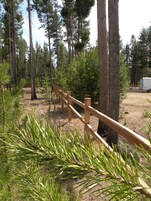 A forested area with a wooden fence and a white trailer.