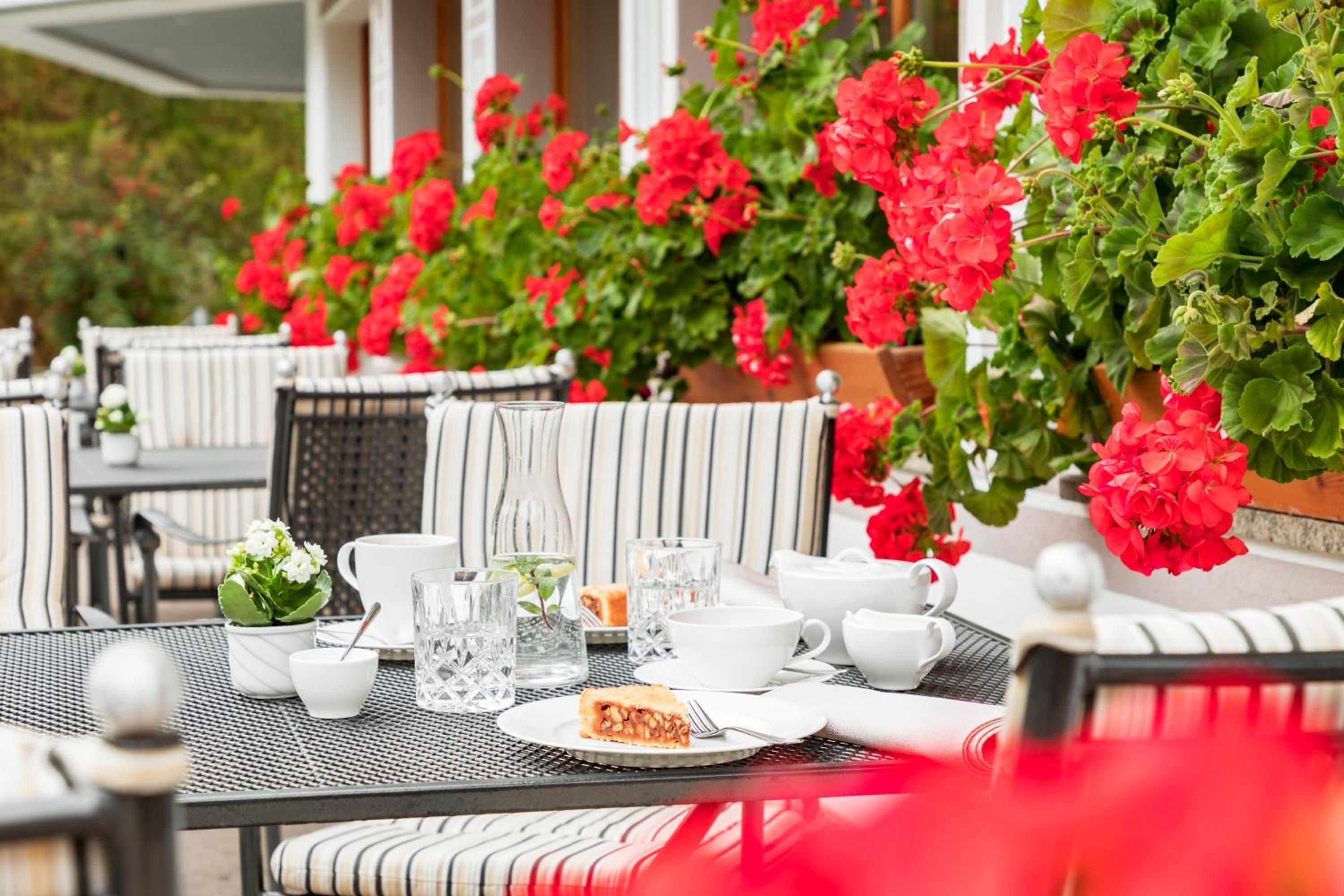 An outdoor seating area with tables, chairs, and a variety of plants.