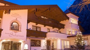 View from property - Alpinschlv Ssl (Mayrhofen)