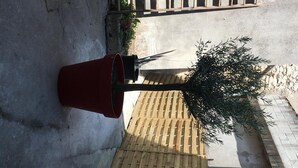View from property - Le Brin D Olivier (Bourg-Saint-Andeol)