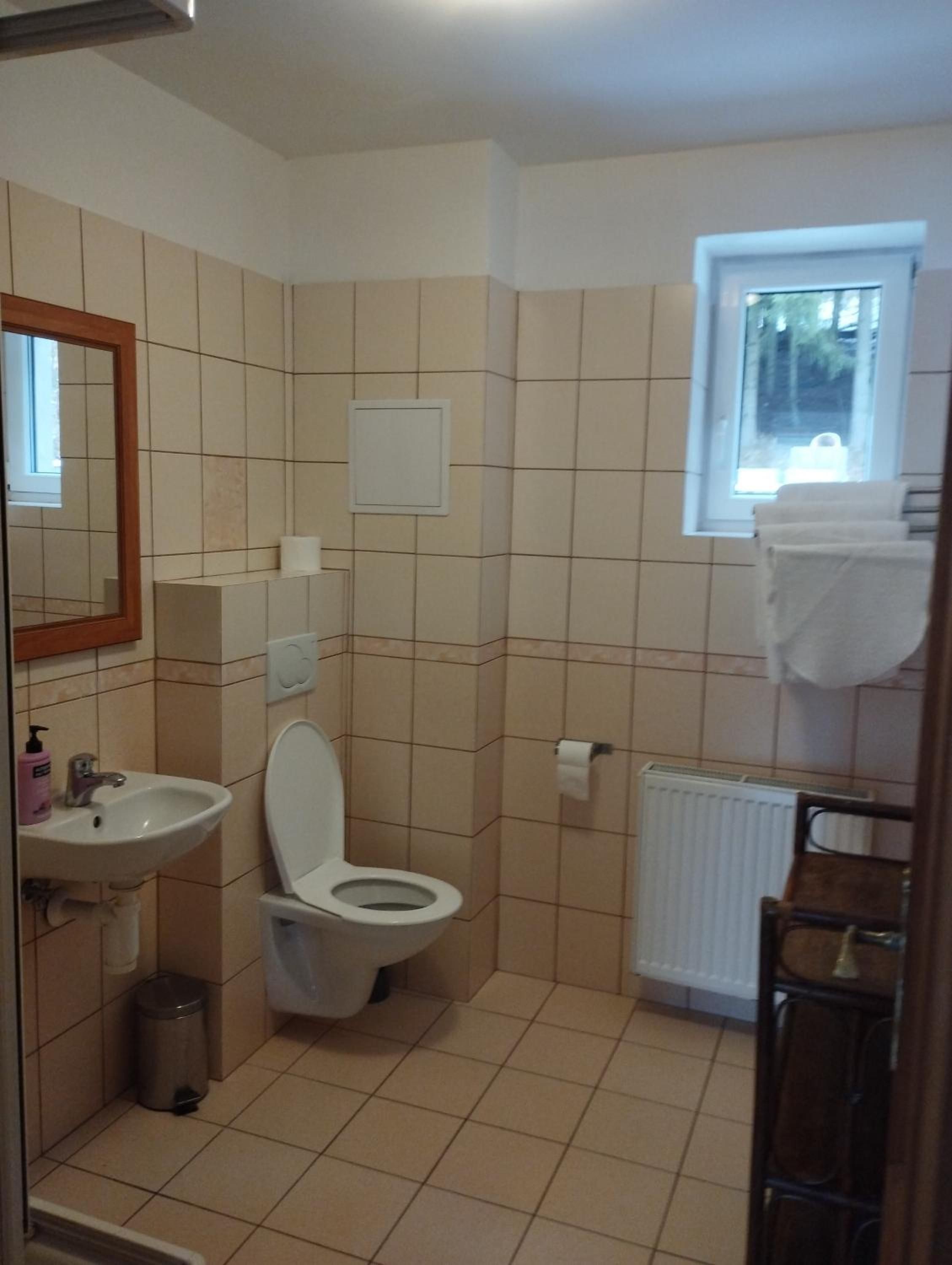 A bathroom with a toilet, sink, mirror, and a window.