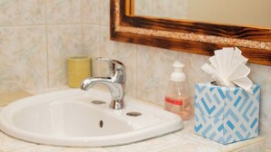 A bathroom with a sink, mirror, toilet paper holder, and a tissue box. - Neem View Apartments (Falmouth Harbour)