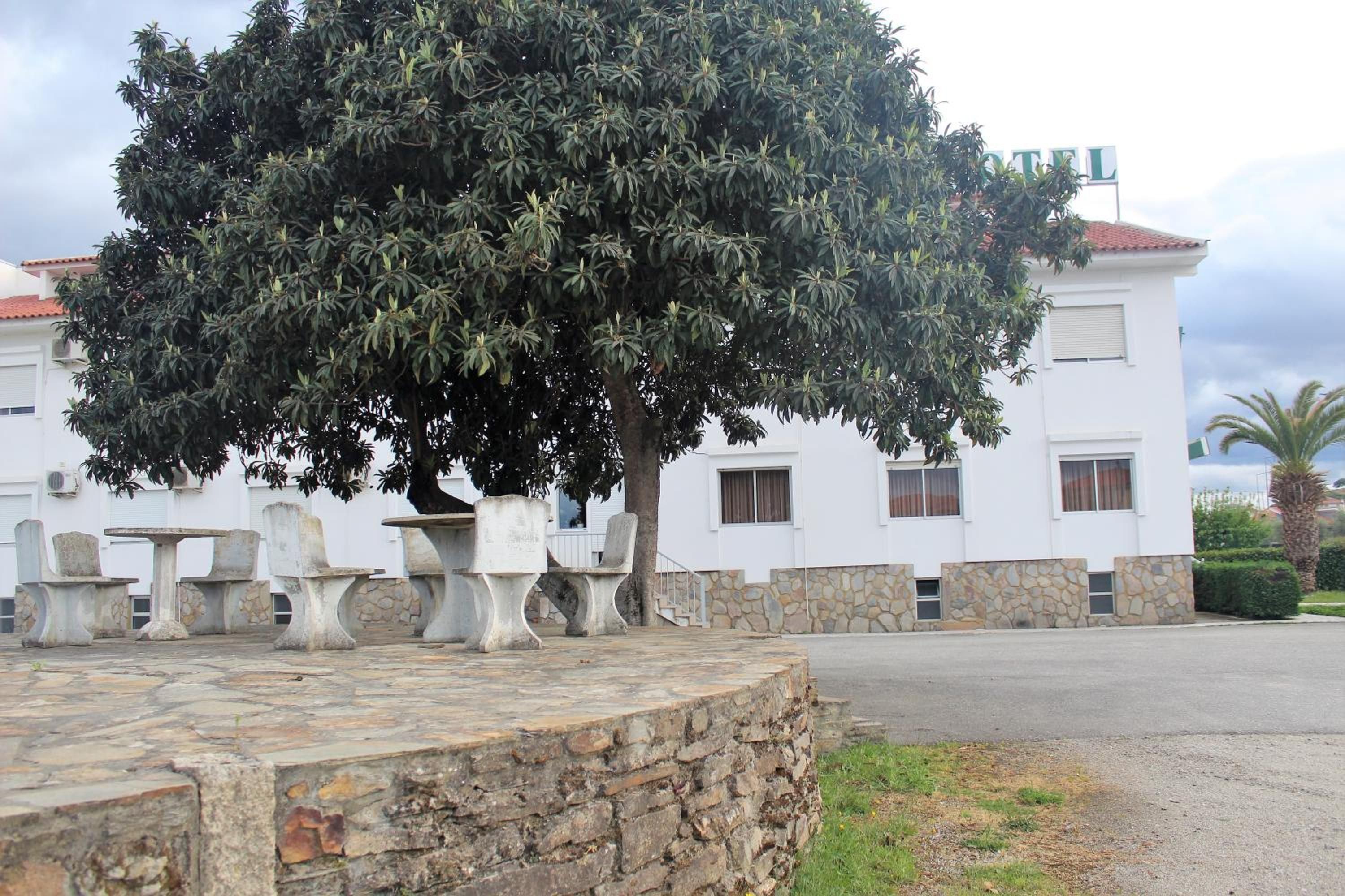 A building with a stone wall, outdoor seating, and a large tree in front.