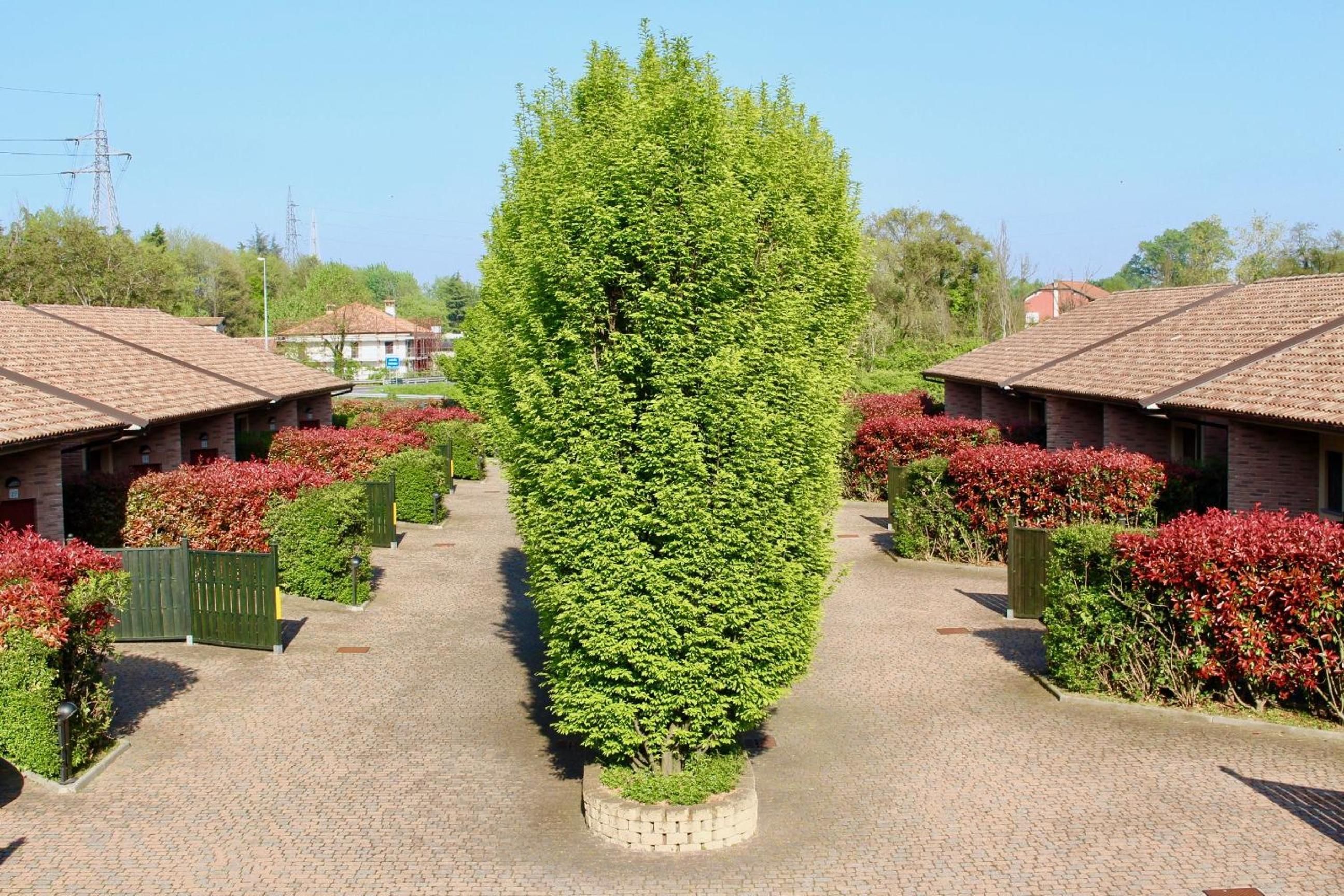 Ein Innenhof mit einem zentralen Baum, umgeben von Backsteingebäuden mit Ziegeldächern.