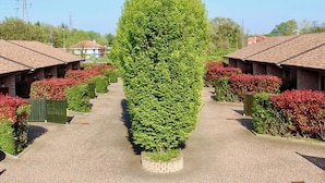 Un patio central con un árbol, rodeado de edificios de ladrillo con techos de tejas.