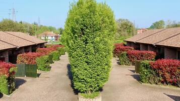 Ein Innenhof mit einem zentralen Baum, umgeben von Backsteingebäuden mit Ziegeldächern.