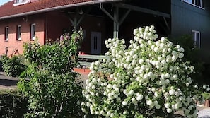 A building with a porch, a white flowering bush, and a brick wall. - Hotel Marianne Und Restaurant Kiek In (Plau am See)