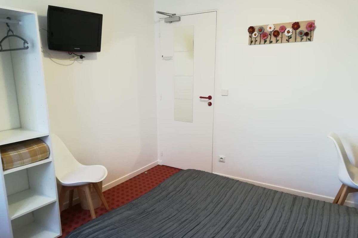 A room with a bed, a desk, a chair, a wardrobe, a television, and a door with a mirror.
