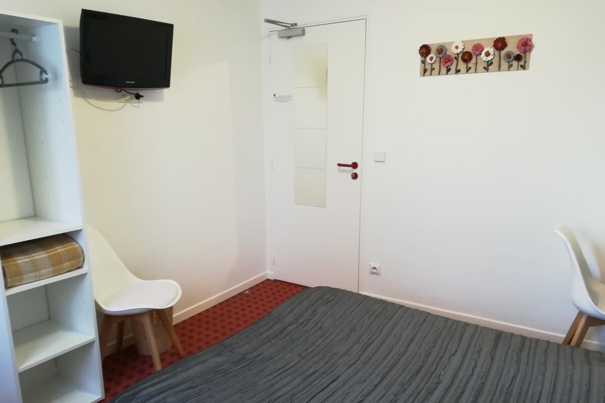 A room with a bed, a desk, a chair, a wardrobe, a television, and a door with a mirror.