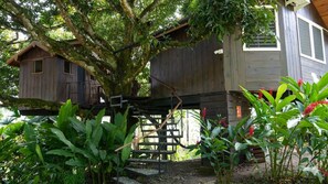 A treehouse with a wooden staircase leading up to it, surrounded by lush greenery and plants.