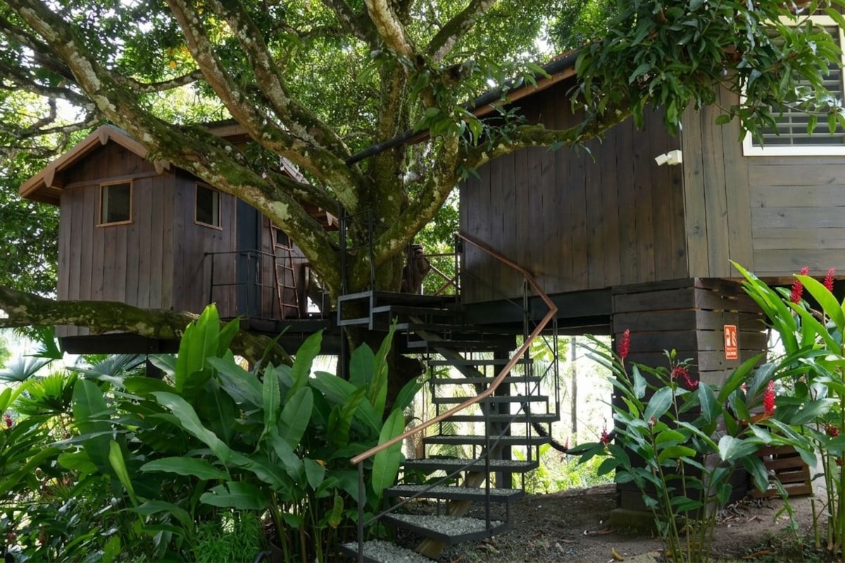 A treehouse with a wooden staircase leading up to it, surrounded by lush greenery and plants.