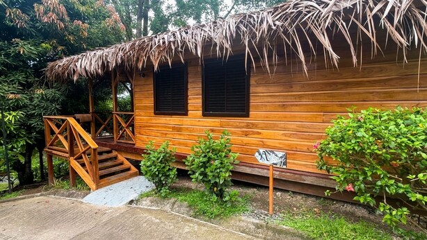 A wooden cabin with a thatched roof, a wooden staircase, and a small garden area. - Hotel Central Bocas Del Toro (Panama)