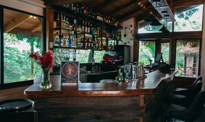 A bar area with a wooden counter, shelves of bottles, and a view of greenery outside.