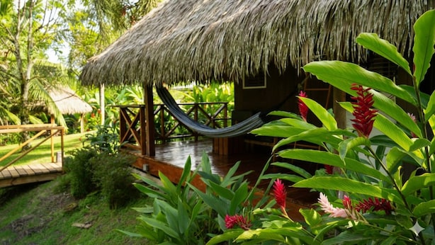 Una construcción con techo de paja, con una hamaca, rodeada de vegetación exuberante y plantas tropicales.