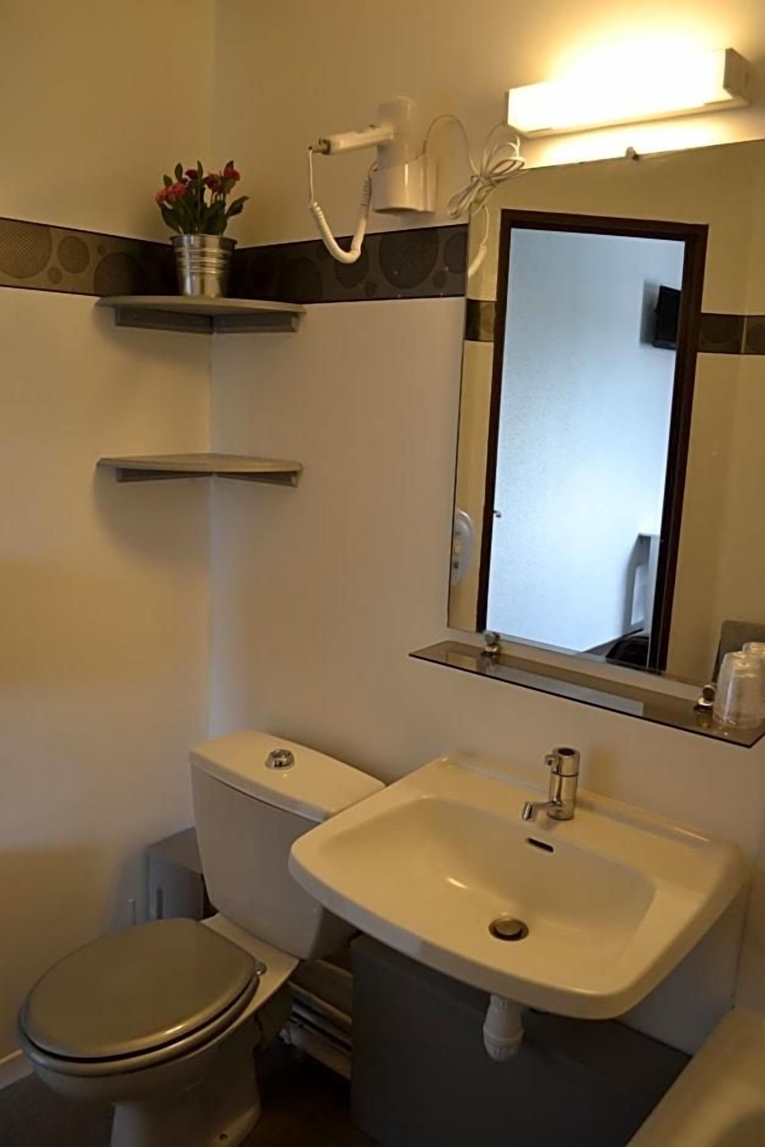 Une salle de bain comprenant des toilettes, un lavabo, un miroir et une petite étagère sur laquelle est posée une plante en pot.