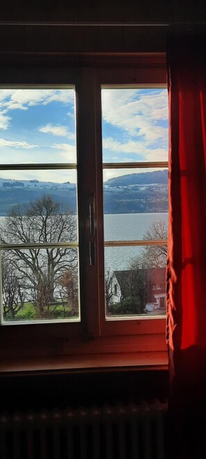 View from property - Pilgerhüsli Backpacker (Stafa)