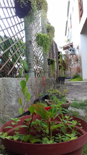 View from property - Tribo De Gaia (Conceicao da Barra)