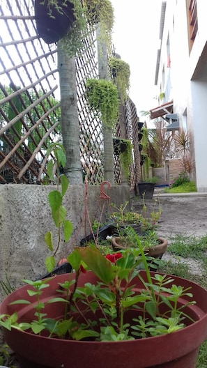 A garden area with potted plants, a bamboo fence, and a concrete wall. - Tribo De Gaia (Conceicao da Barra)