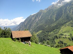 View from property - Gotthard Backpacker (Wassen)