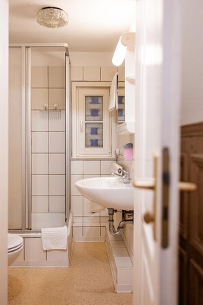 Een badkamer met een inloopdouche, een wastafel en een spiegel.