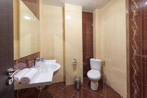 A bathroom with a sink, toilet, and trash bin.