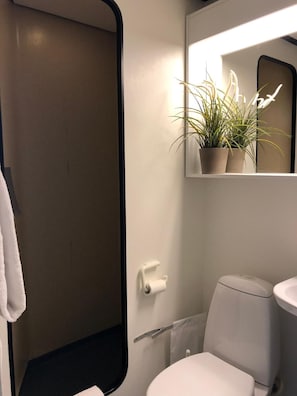 A bathroom with a toilet, a sink, a mirror, and a potted plant.