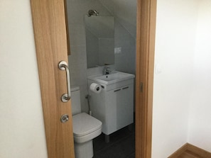 A bathroom with a toilet, sink, and mirror.